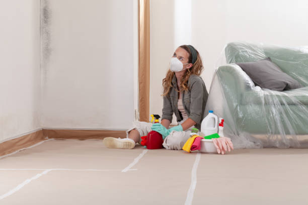 Reliable Basement Mold Remediation contractor in Houston, PA by WQB Mold Removal